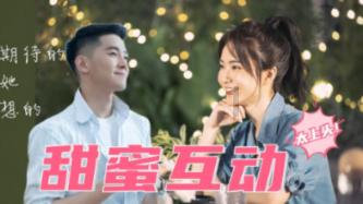 拯救精灵的土地8